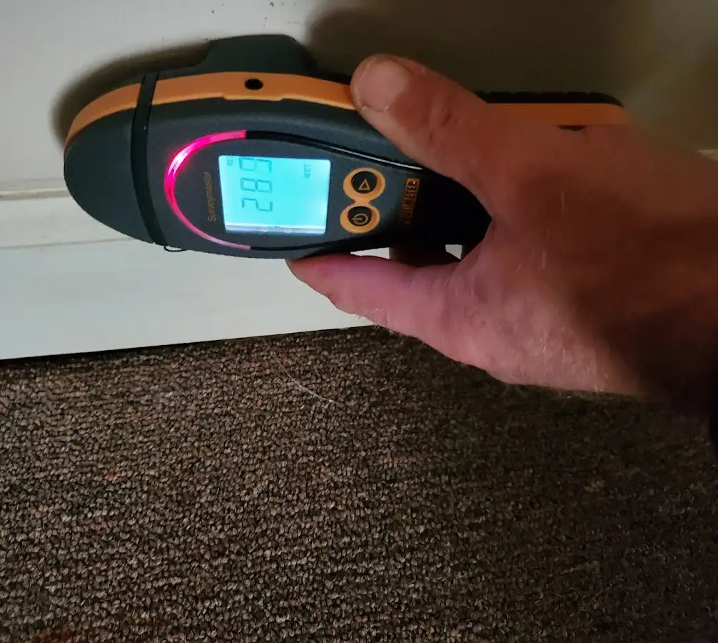Moisture detection at baseboard during Sewage Cleanup & Sanitation in Kingston